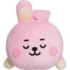 Line Friends BT21 - pliušinė pagalvėlė 28 cm COOKY Baby