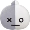 Line Friends BT21 - pliušinė pagalvė 32 cm VAN