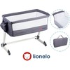 Lovytė Lionelo Theo, Dark Pilkas