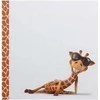 Lipnus nuotraukų albumas FANDY Giraffe