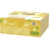 Lipton Citrinų skonio arbata „A Moment to Refresh“ 100 pakelių