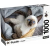 Lisciani Dėlionė + plakatas, 1000 vnt. - Kačiukas