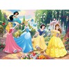 Dėlionė Lisciani Dvišalis galvosūkis MaxI 108 Disney Princesses
