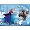 Dėlionė Lisciani Dvišalis galvosūkis MaxI 24 Land of Ice 2
