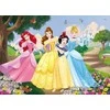 Dėlionė Lisciani Dvišalis galvosūkis MaxI 35 Disney Princesses