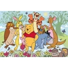 Lisciani LISCIANI DISNEY Dėlionė DF PLUS 250 KUBUŚ PUCHATEK