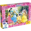 Dėlionė Lisciani Dvišalis Puzzle Plius 60 Princess