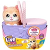 Cobi LITTLE LIVE PETS Interaktyvus rinkinys „Katė su kačiukais“