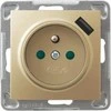 Ospel Vieno lizdo Impresja GP-1YZPUSB/m/28 su įžeminimu ir langinėmis su USB įkrovikliu 2.1A auksinis metalas