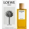 Loewe Solo Mercurio EDP parfumuotas vanduo vyrams, 100 ml