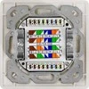 LogiLink NP0128 - Cat.6A tinklo lizdas UP 2x RJ45 ekranuotas grynai baltas
