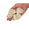 WIO Adder Nano Boulder dekoratyviniai akmenys delne