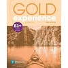 KNYGA Rhiannon Ball Gold Experience 2nd Edition B1+ Workbook