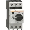 Lovato Electric Variklio grandinės pertraukiklis SM1R4000 su rankenėle 30-40A 20kA 400V (SM1R4000)