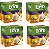 Vaisinė arbata LOYD, ananasų ir kriaušių skonio, 20 x 2g