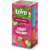 Loyd LOYD Herbata na ciepło i zimno malina & agrest 20x2,5g