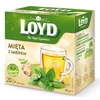 Arbata LOYD, mėtos ir imbiero skonio, 20x2 g