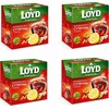 Loyd Šildanti arbata su imbieru, citrina ir medumi, 20 pakelių