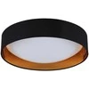 Lubinis šviestuvas Domoletti Didelis lubinis šviestuvas 19131L 24W D42 LED
