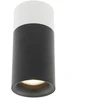 Lubinis šviestuvas Lampa sufitowa Altalusse Oprawa sufitowa tuba punktowa reflektor INL-7008D-01 GU10 juoda