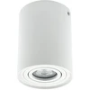 Lubinis šviestuvas Lampa sufitowa Altalusse Oprawa sufitowa tuba punktowa reflektor INL-7014D-01 GU10 balta