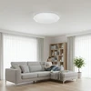 Lubinis šviestuvas Domoletti Lampa sufitowa B1242-1M-R LED 22W