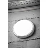 GTV LED KODO-OK lempa, 12W, 1080lm, AC175-260V, 50/60 Hz, PF>0.5, Ra≥80, IP54, IK08, 4000K, ro