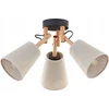 Lubinis šviestuvas Lampa sufitowa TK Lighting CEILING LUM. VAIO NATURE* 3 574