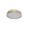 VTAC lubinis šviestuvas Plafon LED Ceiling LUXO 18W 1980lm 4000K 840 IP20 GD auksinis 4099854653087