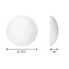 Lubinis šviestuvas Lubų žibintas Lena Lighting Kamela 1x20W LED (205248 / HV)