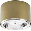 Lubinis šviestuvas Lubų žibintas TK Lighting MORIS 3349