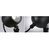Lubinis šviestuvas Paulmann Garden prožektorius Plug & Shine KIKOLO LED 7.2W 20 laipsnių. 460lm 3000K IP65 24V antracitas