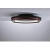 Lubinis šviestuvas Paulmann Lubinis šviestuvas SPACEGLOW ONE LED 3D DIM RGB vaivorykštės spalvos 38W 3900lm 3000-6500K nuotolinio valdymo pultas 230V matinė juoda / metalinis