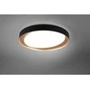 Lubinis šviestuvas Trio ZETA LED CEILING LAMP Juodas/GOLD