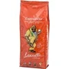 Lucaffe Espresso Bar kavos pupelės 1kg