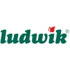 Ludwik Indaplovės kapsulės Maxx Power Plus 95 vnt.