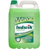 Ludwik Universalus skystis, 5 l, pakalnutė (HG-013054)