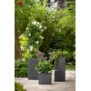 Lumarko FLOWERPOT PLASTIC 246/40 STONY Juodas D40