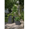 Lumarko FLOWERPOT PLASTIC 246/40 STONY Juodas D40