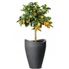 Lumarko FLOWERPOT PLASTIC 254/67 STONY Pilkas D67