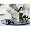 Lyngby Glas - Krištolinė Melodia viskio taurė - 31 cl - 6 vnt. rinkinys