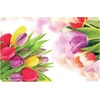 Placemat 43.5x28cm tulip