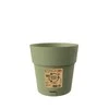 Stefanplast Flower pot with tray Ethica Ø15x15cm žalias