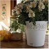 Vazonas OPERA GAIA su vand. rez. 11,8 L D30xH29 cm balta sp. 88600 STEFANPLAST