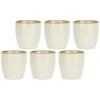 ROSE&amp;TULIPANI CONCERTO IVORY 6 kavos puodelių rinkinys po 100 ml