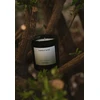 Lumarko sojų žvakė stiklinėje CANDLY&CO, Nr. 4 kvapo, 250 g