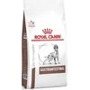 ROYAL CANIN Intestinal Gastro 15kg - sausas maistas šuniui
