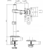 Laikiklis MACLEAN LCD MONITORIUS DESK MOUNT MC-572N