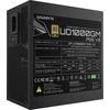 Gigabyte GP-UD1000GM PG5 V2