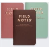Make Notes „Field Notes Lucky 3 Pack“ sąskaitų knygelės (FNC-70)